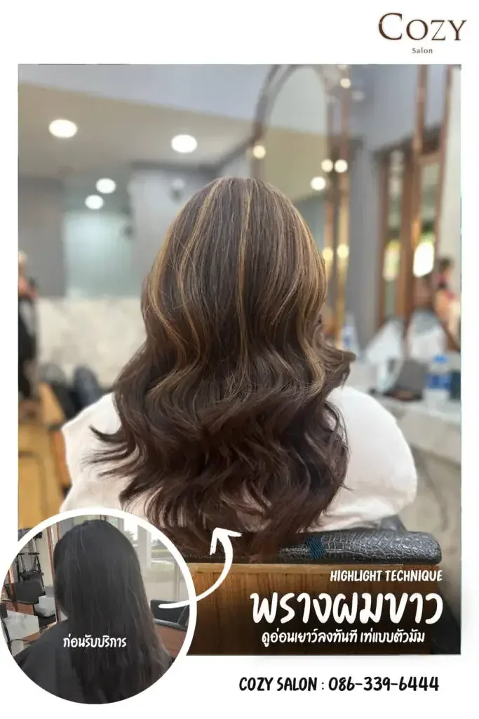 ตัวอย่างแนวสีและผลงานพรางผมขาวจาก Cozy Salon