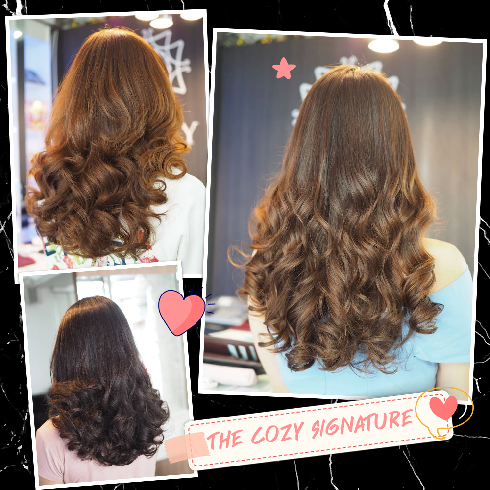 🌟The Cozy Signature 🌟